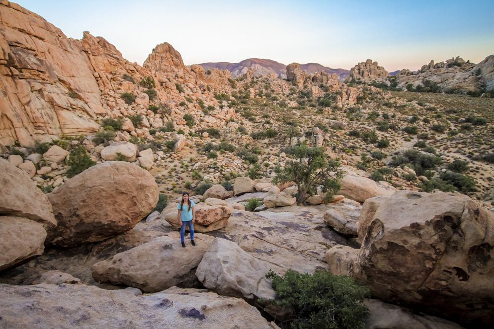 Planning a trip to Joshua Tree National Park