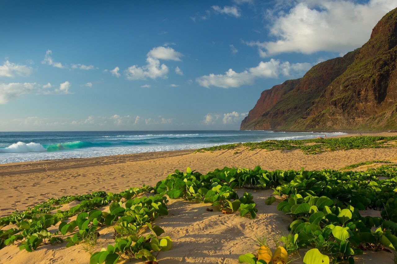 Hawaii: the Most Beautiful Beaches on All the Islands
