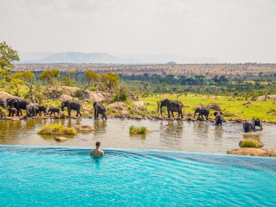 The Most Incredible Once-in-a-Lifetime Experiences to Have in the Serengeti