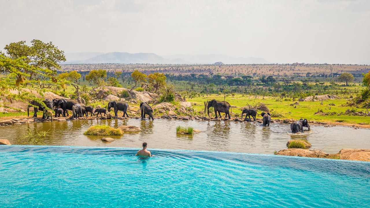The Most Incredible Once-in-a-Lifetime Experiences to Have in the Serengeti