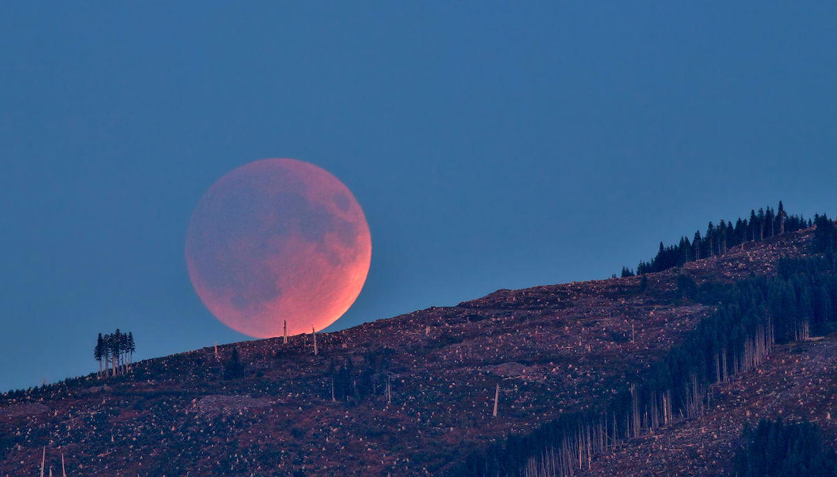 Look Up! The Super Blue Blood Moon Eclipse Is Coming Tonight!