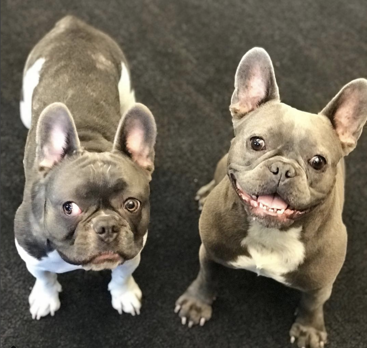 Junior Travel Designer Dream Job Alert What It's Really Like to Be a Luxury Travel Designer