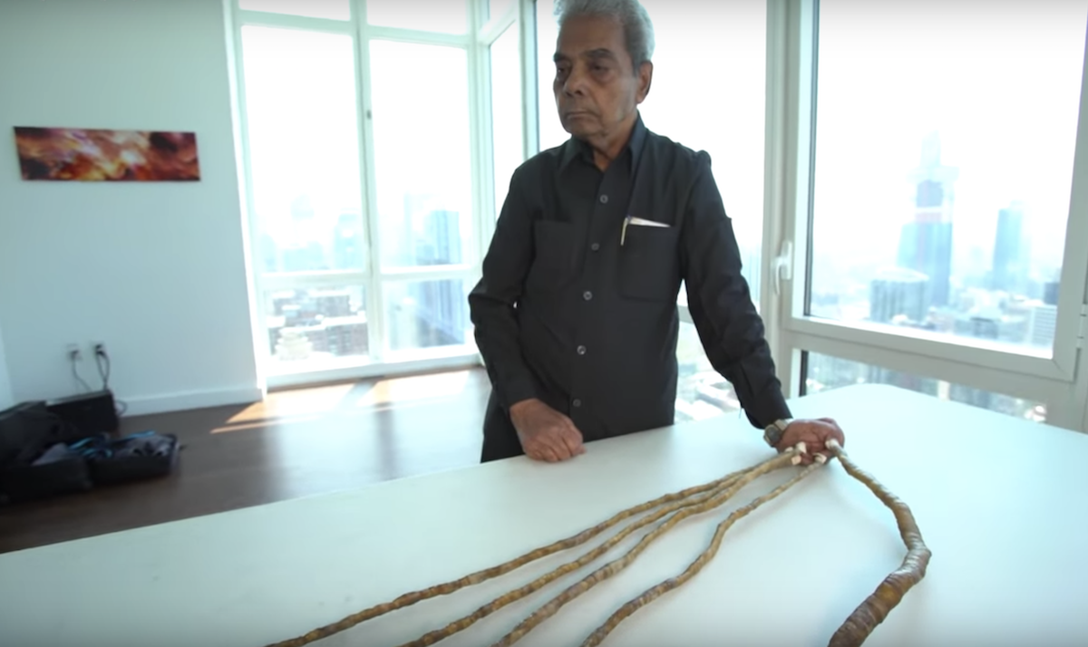 Nails in the coffin: man with world's longest fingernails finally cuts them  off | New York | The Guardian