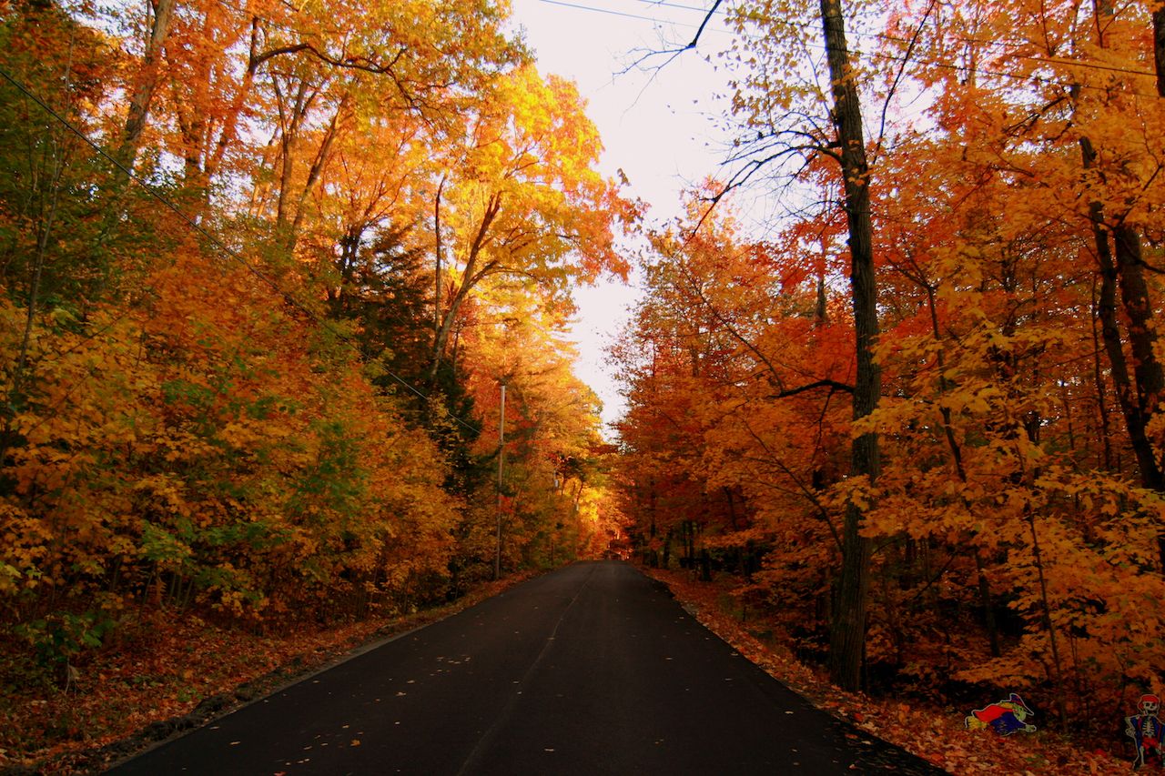 A fall foliage road trip on Route 7 through Addison County, Vermont