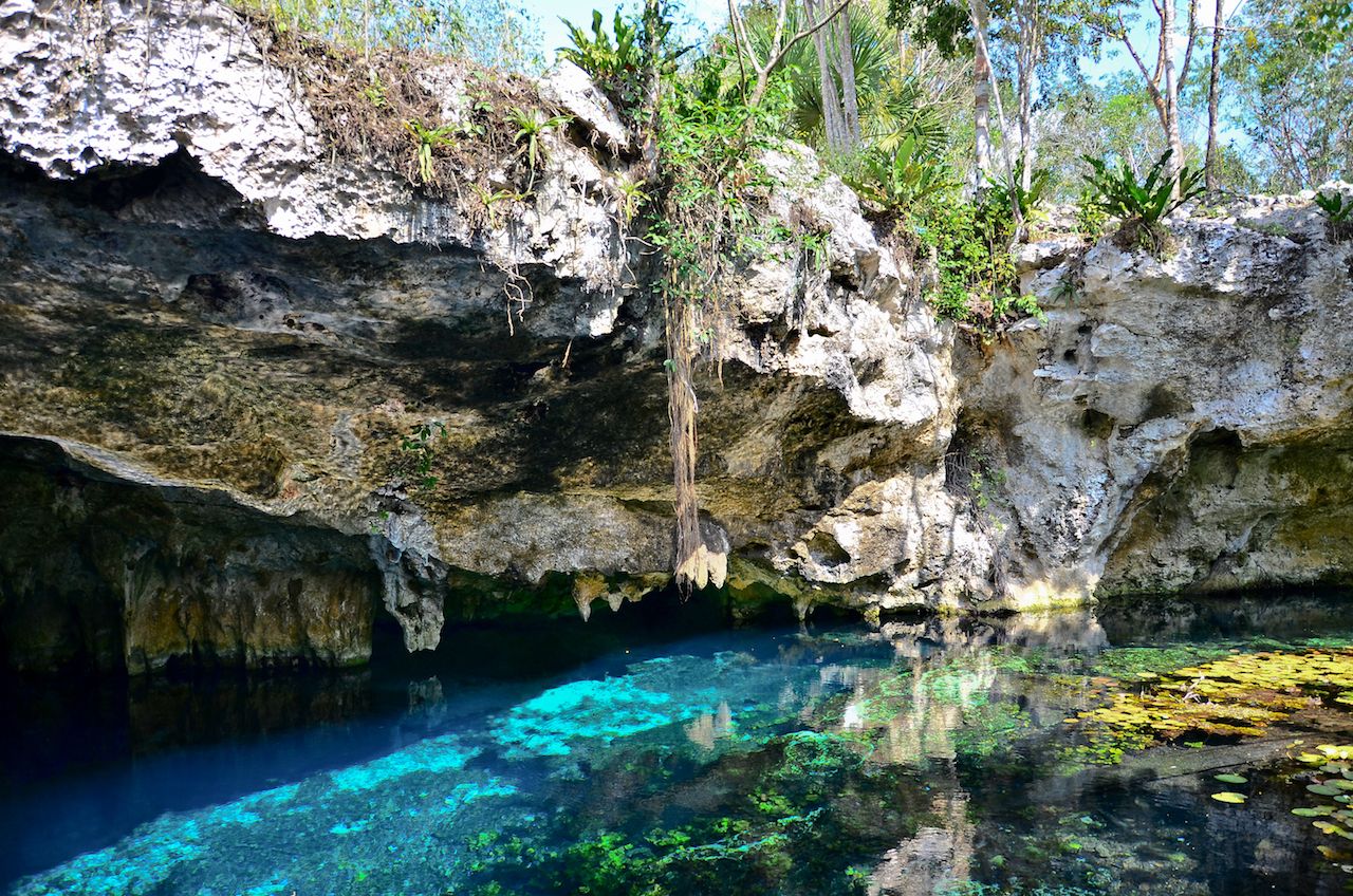 Gran Cenote, Tulum, Mexico