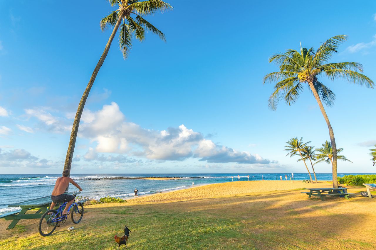 Kauai beach with cyclist, kauai hawaii