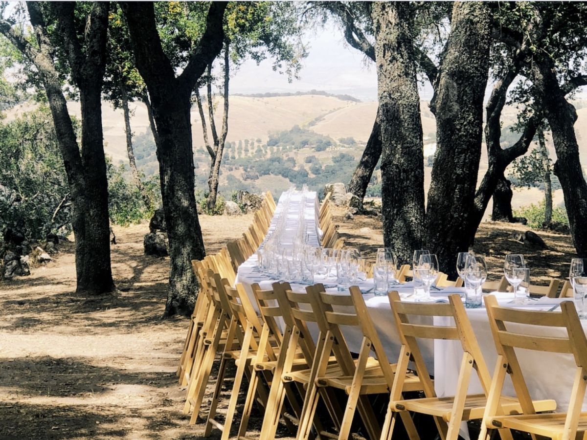 Outstanding in the Field Farm Dinners Are Stunning Here’s How to Get Tickets