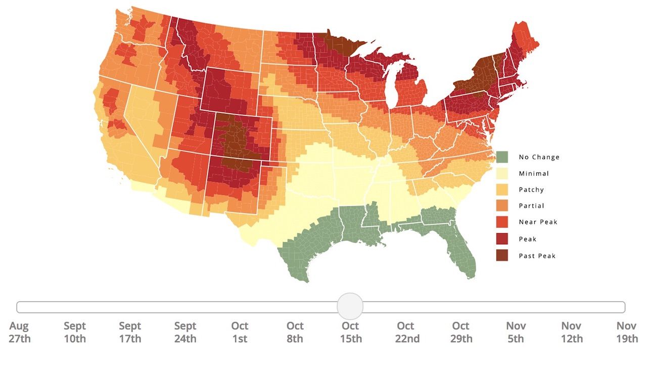 Fall Foliage Map of the US