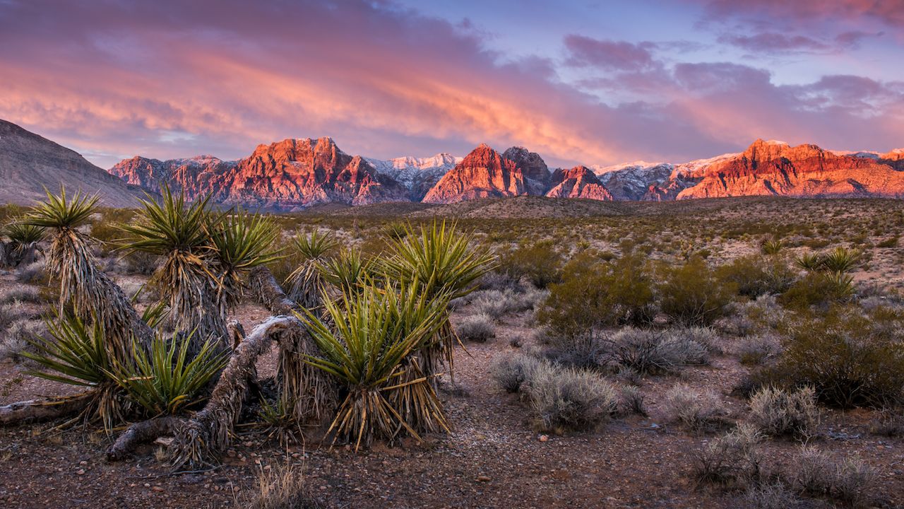 Sunrise at Red Rock Canyon, Nevada