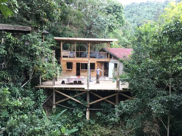 treehouse airbnb in jamaica