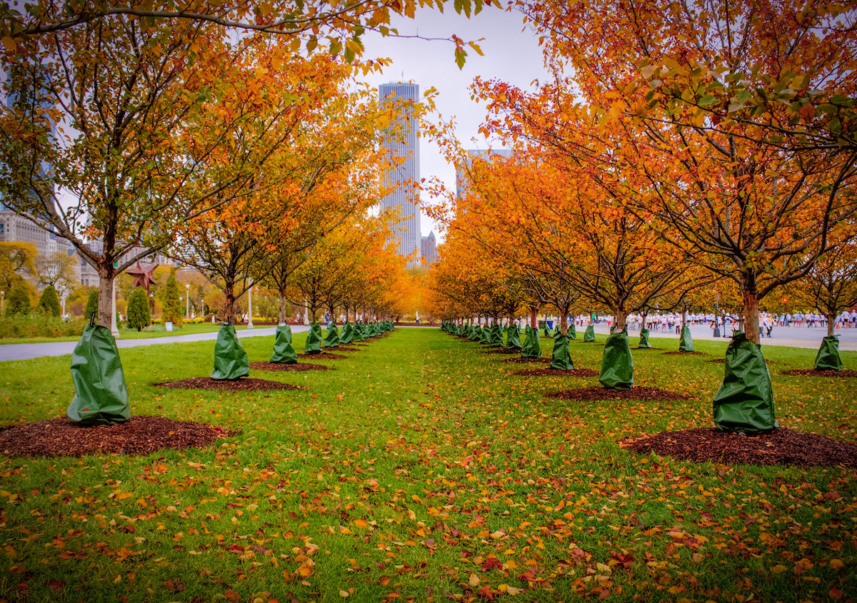 places to visit near chicago in fall