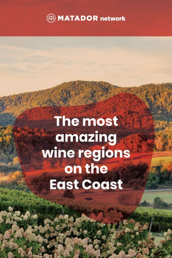 Where to Find the Best Wineries on the East Coast