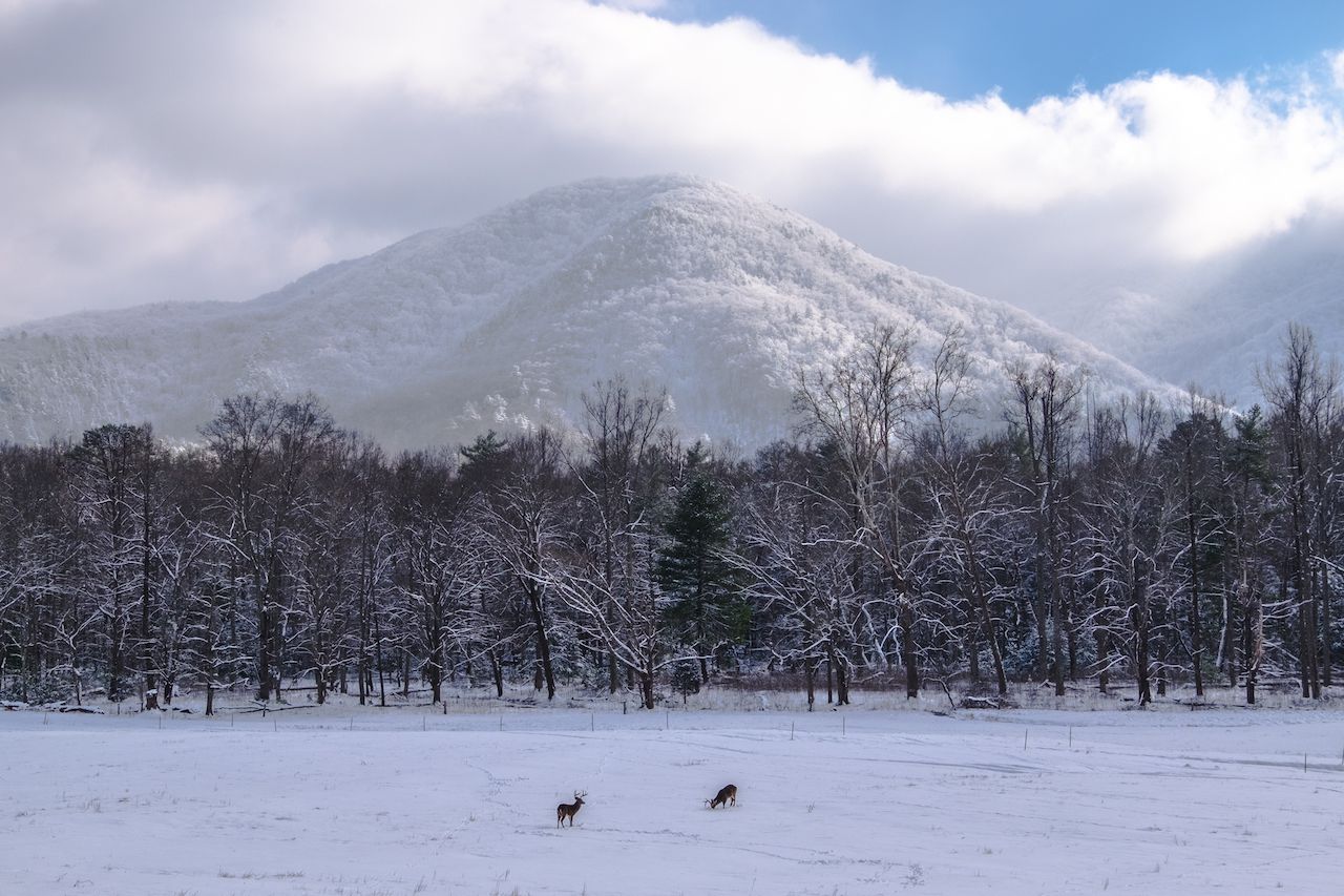 Great Smoky Mountains is one of the best national parks to visit in winter