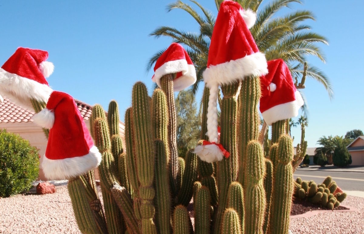 How To Celebrate the Holidays in Arizona