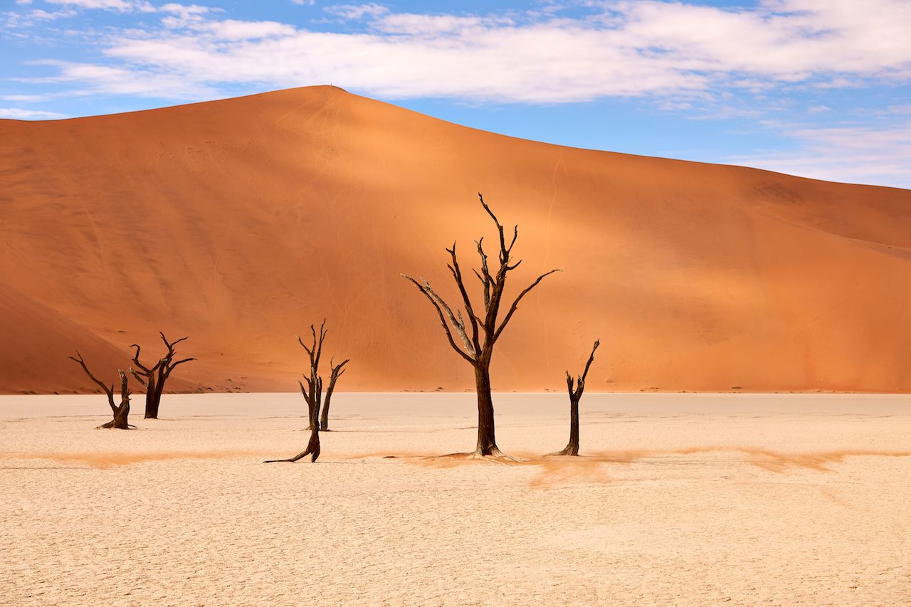 Barren trees in the Namib desert at Deadvlei