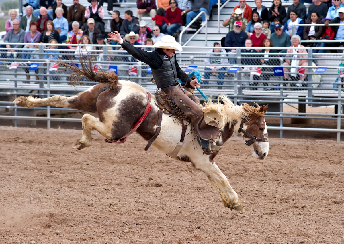 Cowboys in town!!! - Cowboys and cowgirls wear Kenya