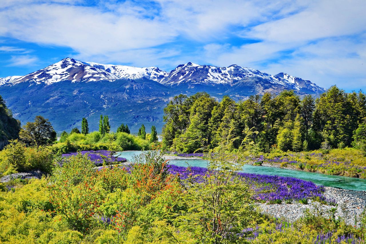 How To Drive Chile S Route Of The Parks In Patagonia   Patagoniain Spring With Mountains And Purple Flowers 