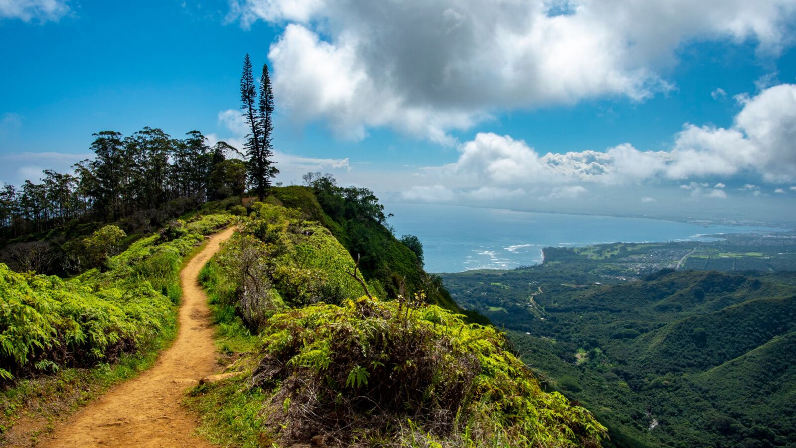 Waihee ridge, a beauitful hiking trail in hawaii on maui