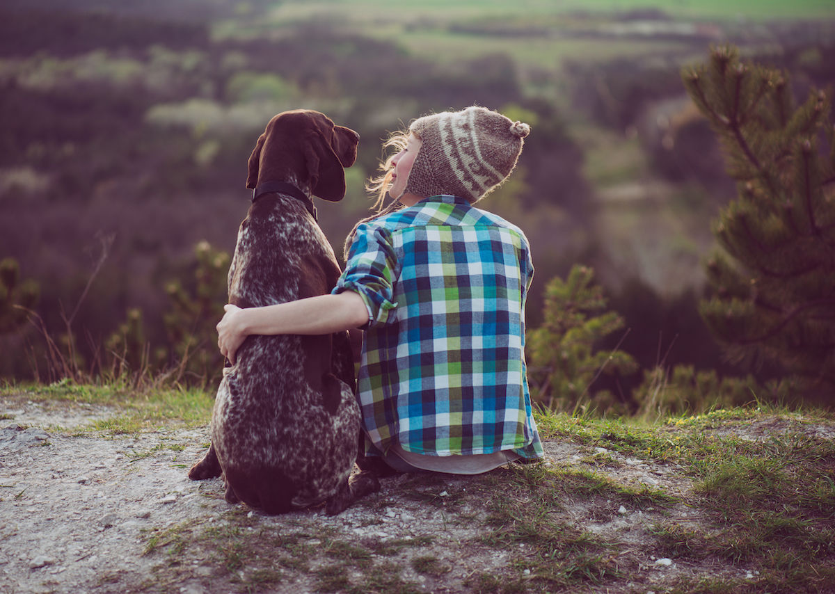 Travel With Your Dog Thanks to This Tour Company