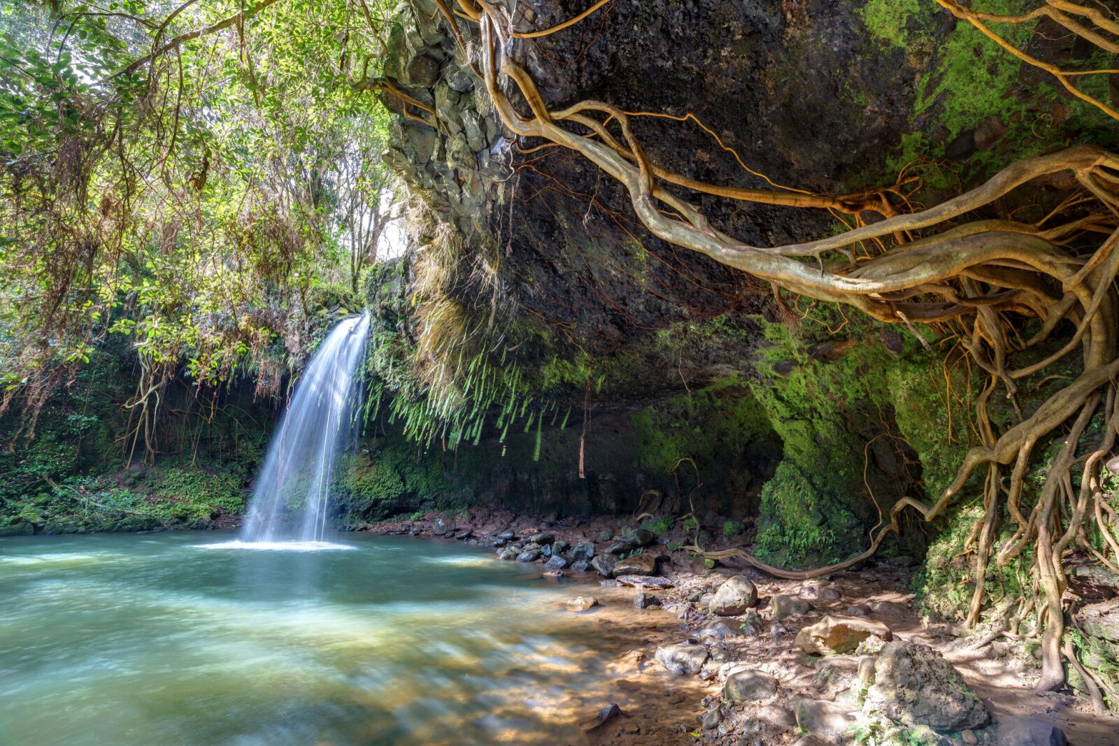twin falls, a short hiking trail on hawaii's island of maui