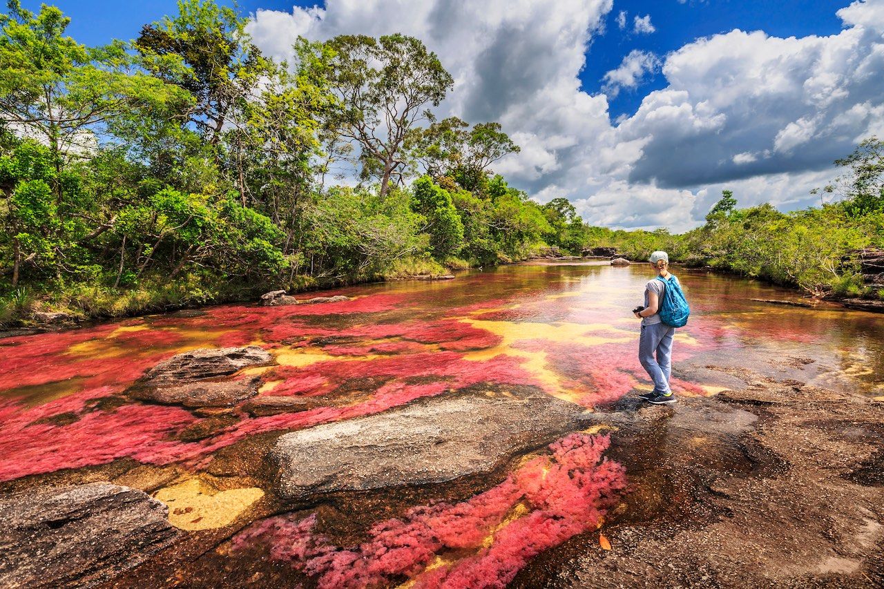 Cano Cristales River of Five Colors Colombia landscape