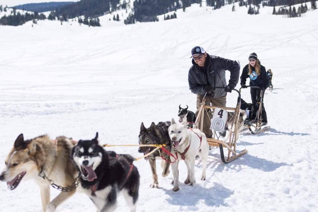 utah dog park airport location
