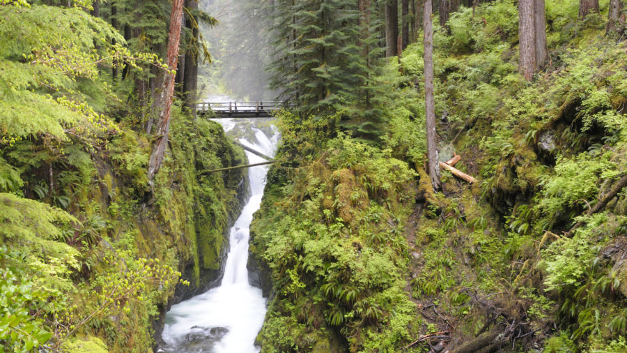 olympic national park best hikes