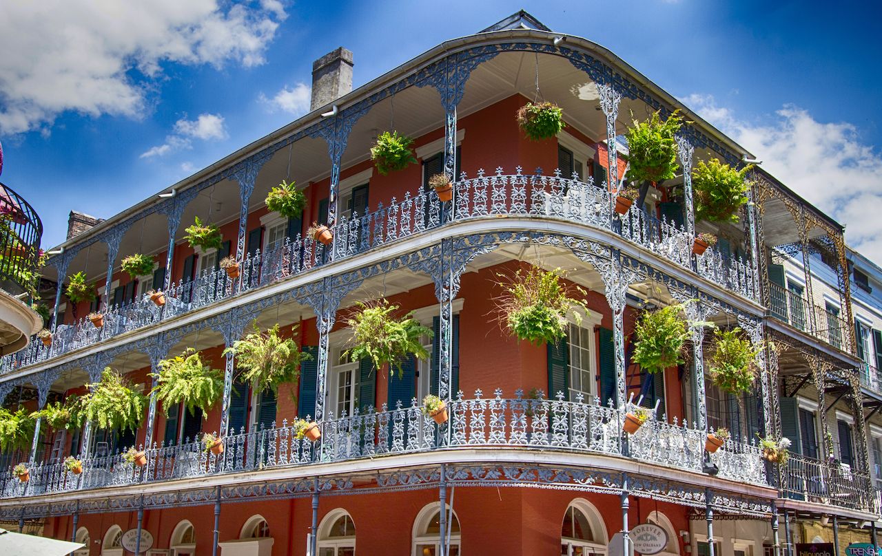 Best Time To Visit New Orleans for Events, Wildlife Watchers, and