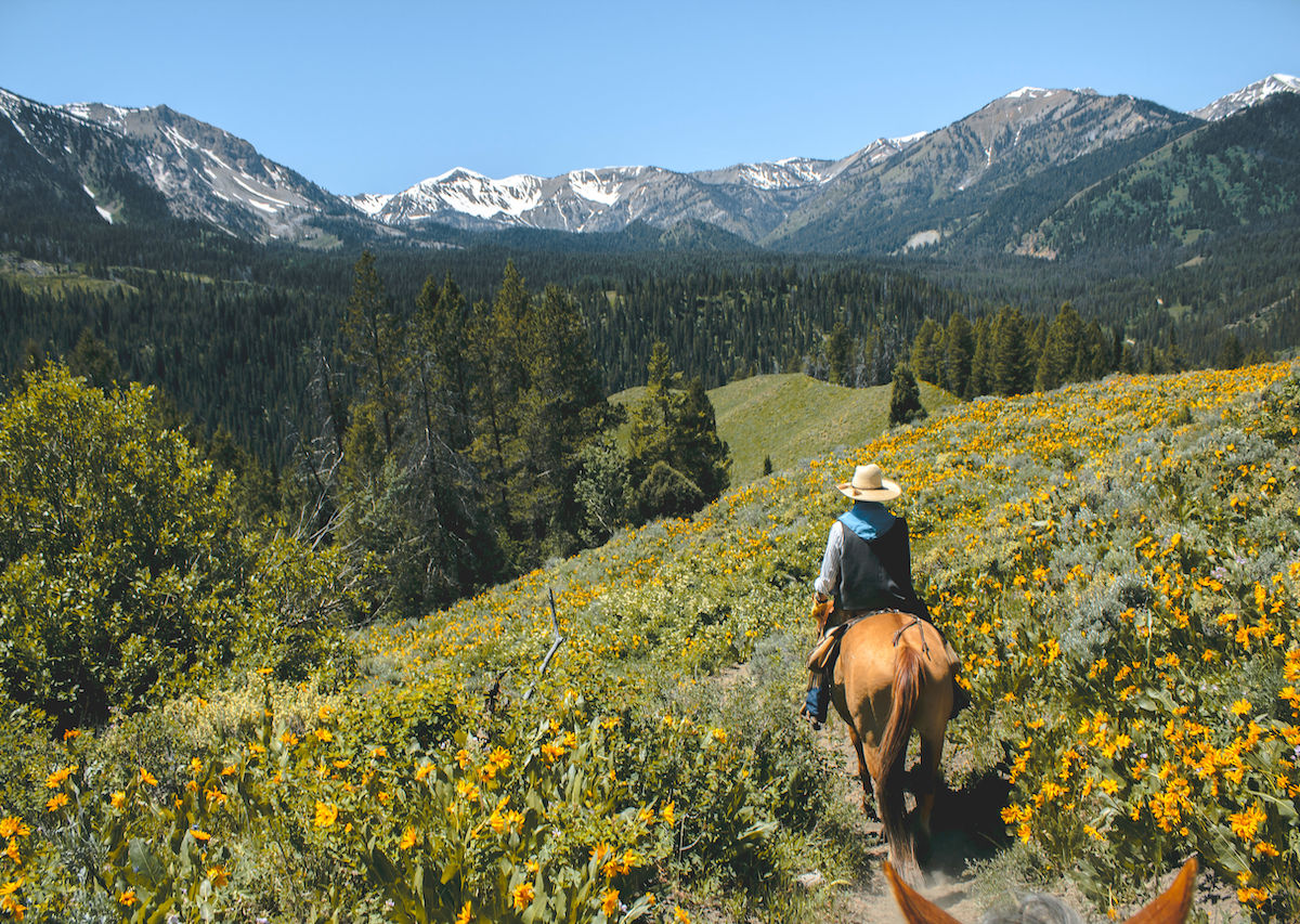 The Best Horseback Trail Riding In Minnesota The Grand Canyon And The Us