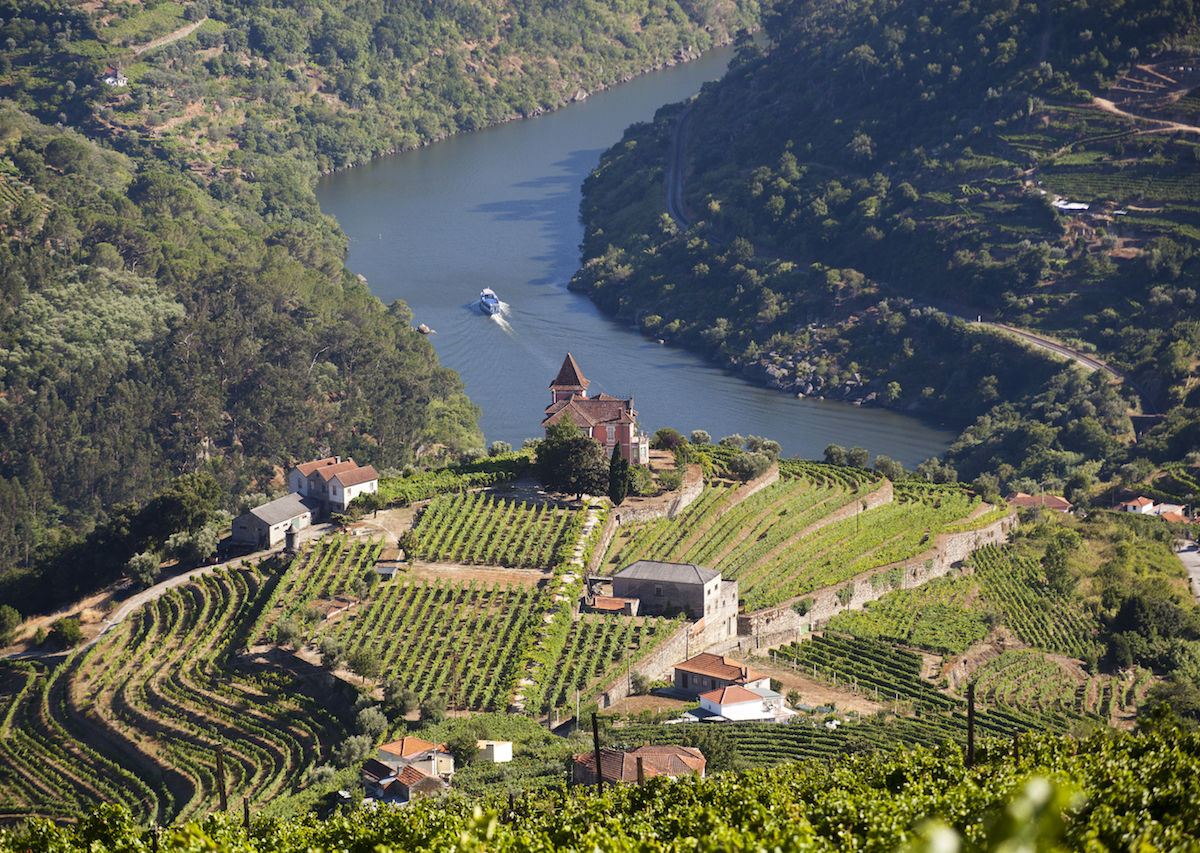 Portugal Wine Region Map - City Prints