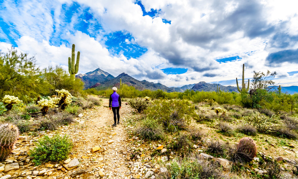 Best Hikes in the McDowell Sonoran Preserve, Scottsdale, Arizona
