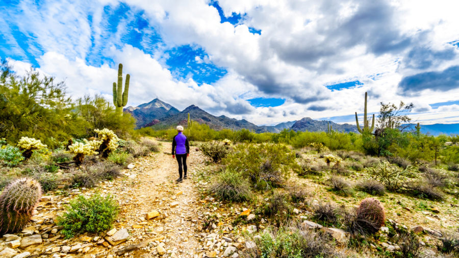 Best Hikes In The Mcdowell Sonoran Preserve Scottsdale Arizona