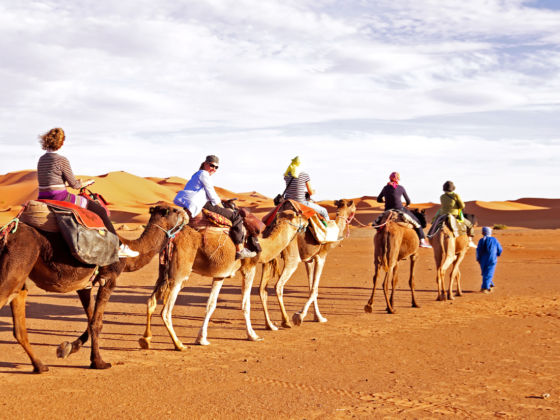 Is Camel Riding Ethical? How To Have a Cruelty-Free Camel Riding Experience