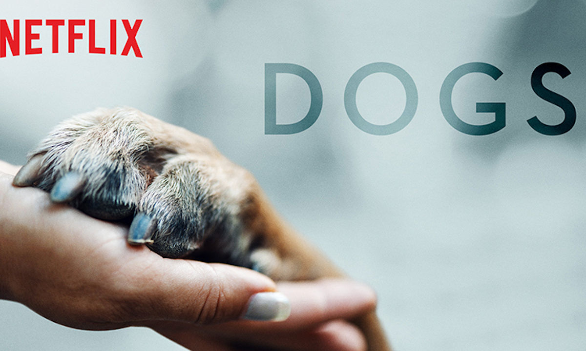documentaries about dogs on netflix