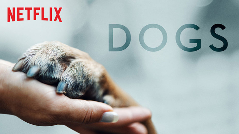 netflix for dogs