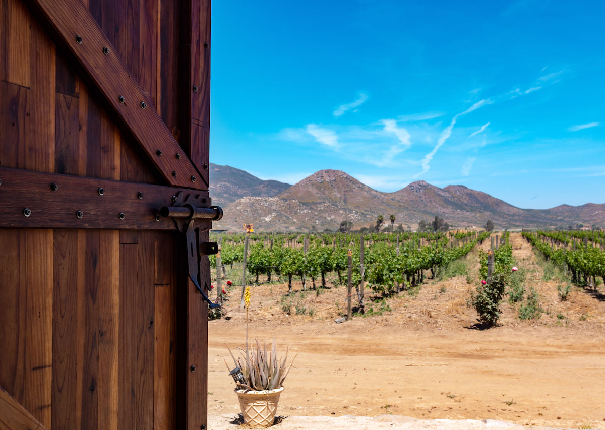 Mexican hotsell wine country