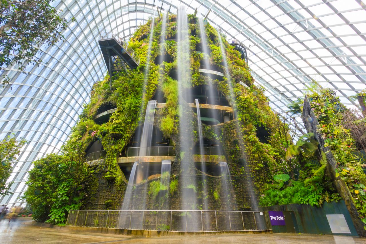 The Cloud Forest in Gardens by the Bay in Singapore
