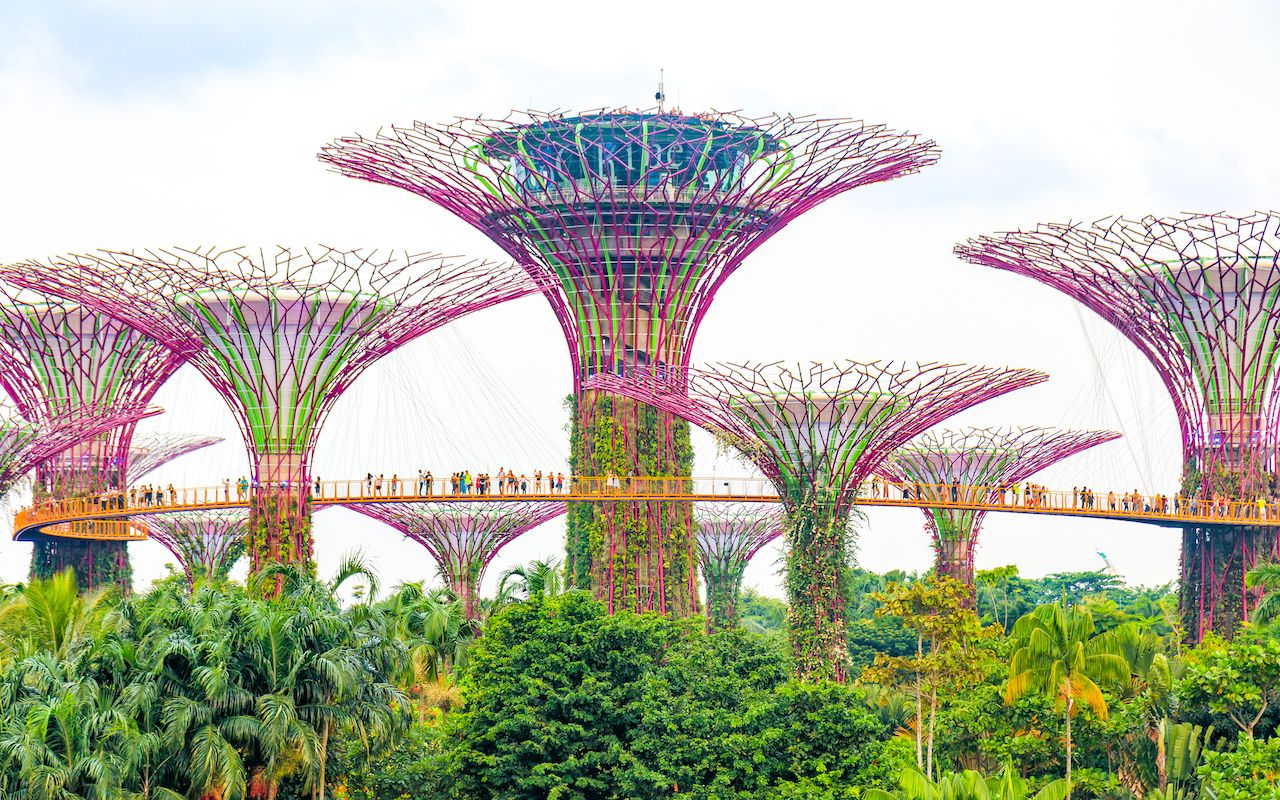 Supertrees in Gardens by the Bay in Singapore
