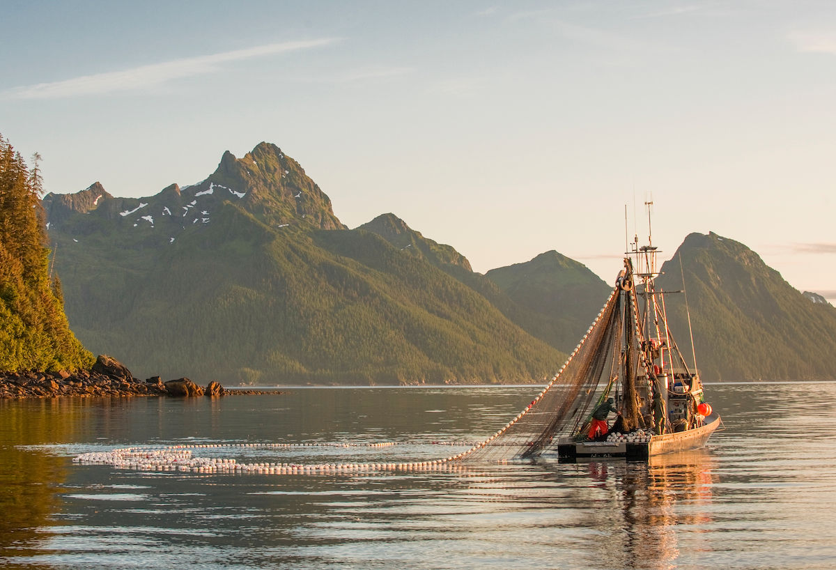 Where to Go Fishing in Alaska Sustainably