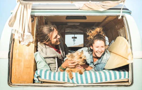 How to Plan a Road Trip With Your Dog