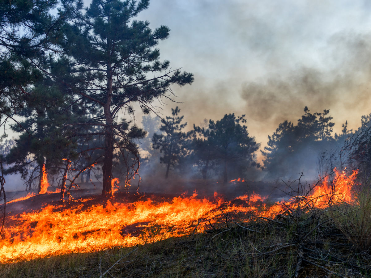 Wildfire Spread by Santa Ana Winds