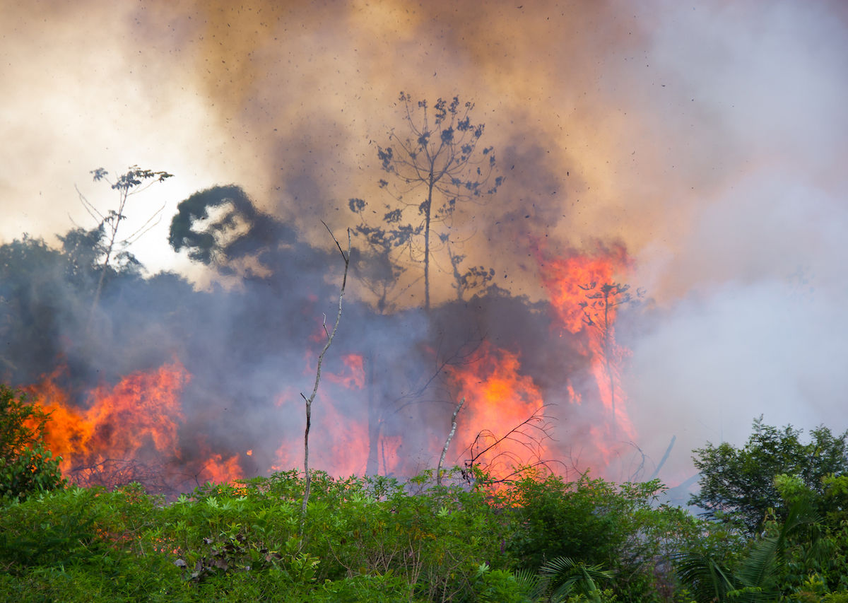 Brazil 2025 fires hoax