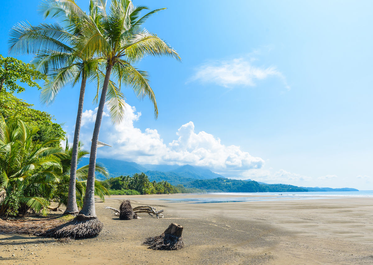 The Best Things to Do in Manuel Antonio, Dominical, and Uvita, Costa Rica