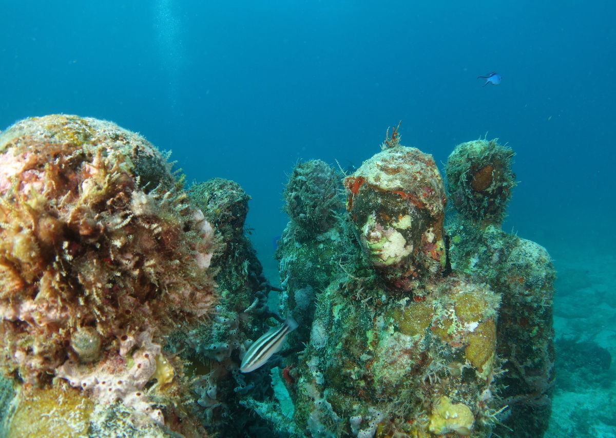 Best Artificial Reefs in the US, Mexico, Thailand, and More, image size:1200x853