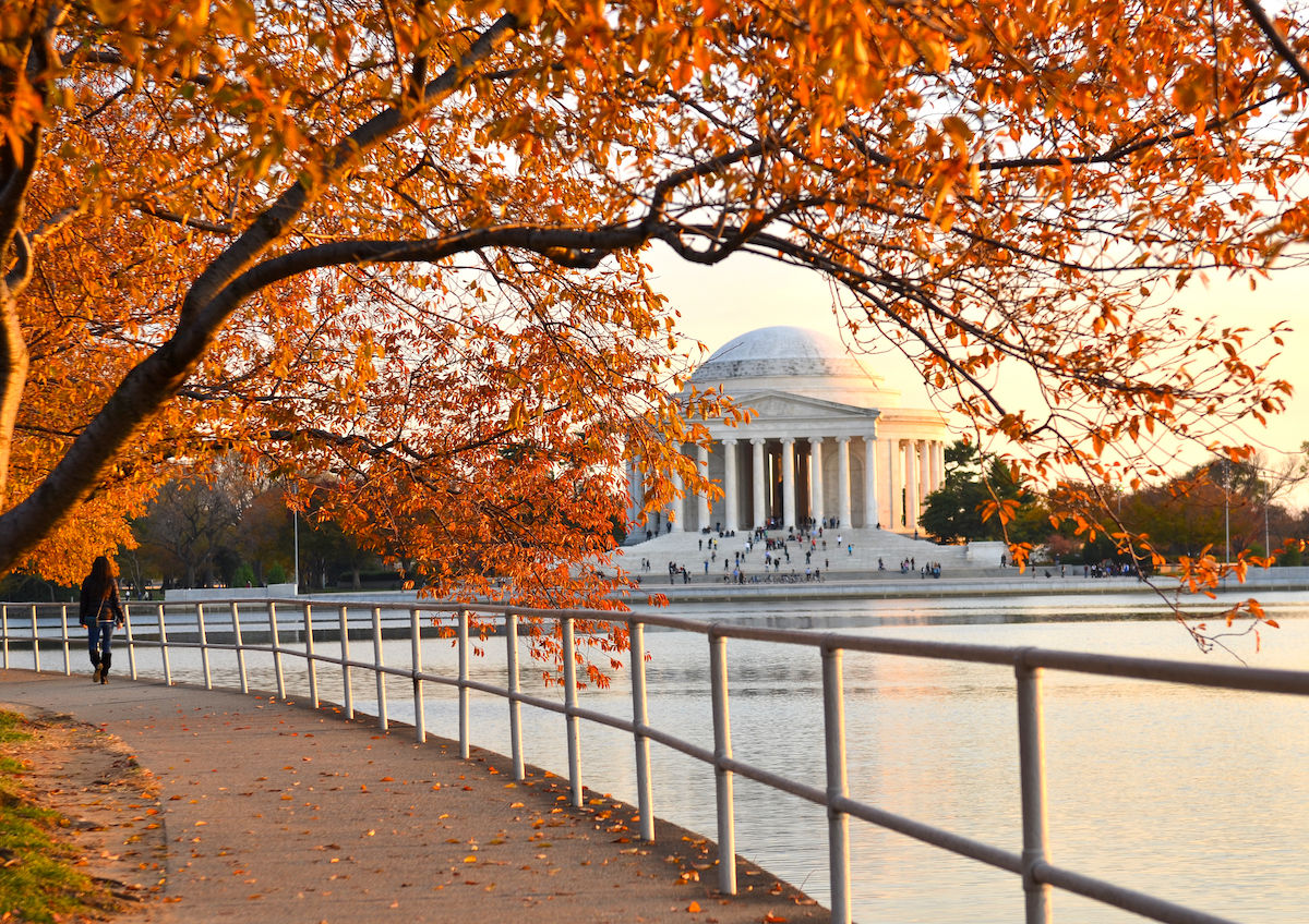 visit dc in fall