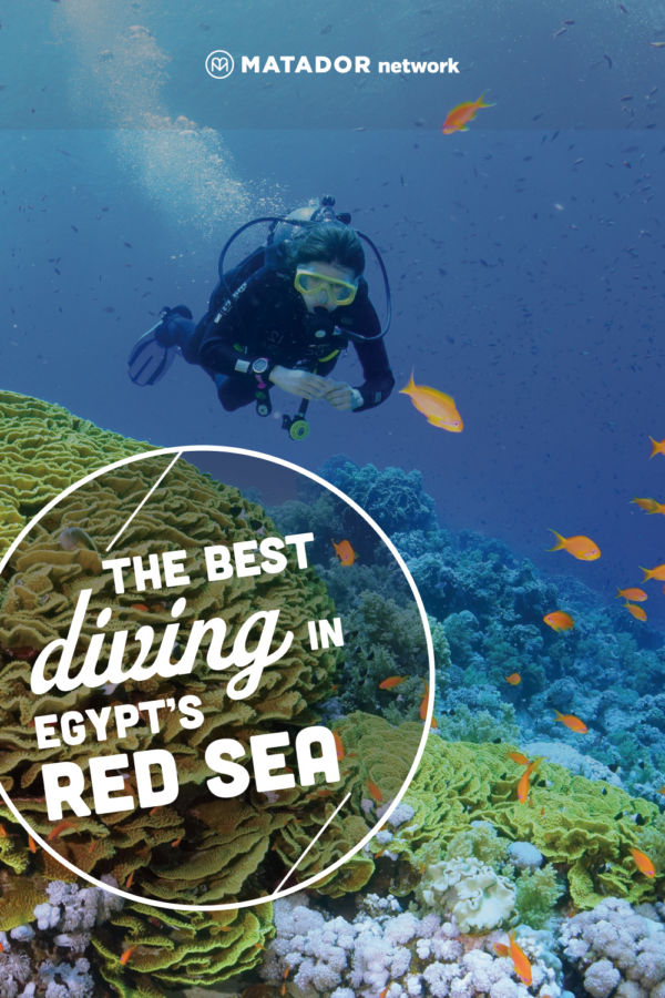Diving in Egypt’s Red Sea Reveals a World of Hidden Wonders