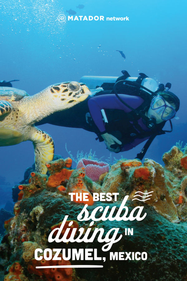 Best Scuba Diving in Cozumel, Mexico, Including Drifts, Walls, and Wrecks