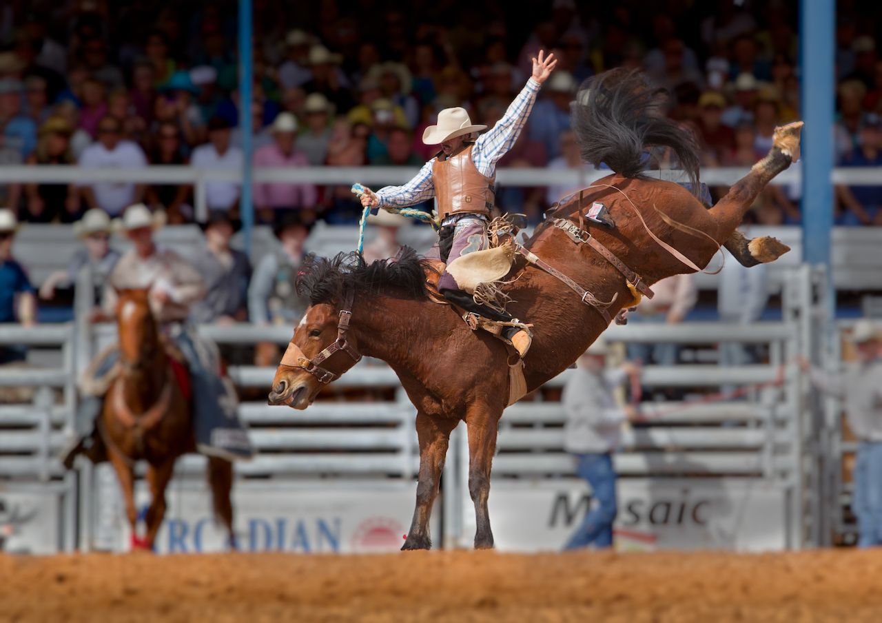 Cruisers Rodeo What Happens at a Rodeo