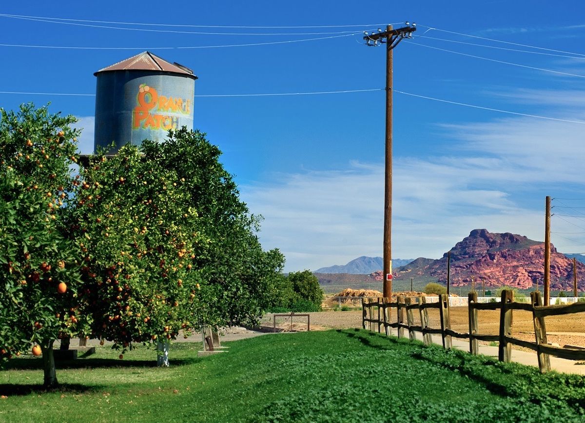 Best Things To Do In Mesa Arizona For Foodies