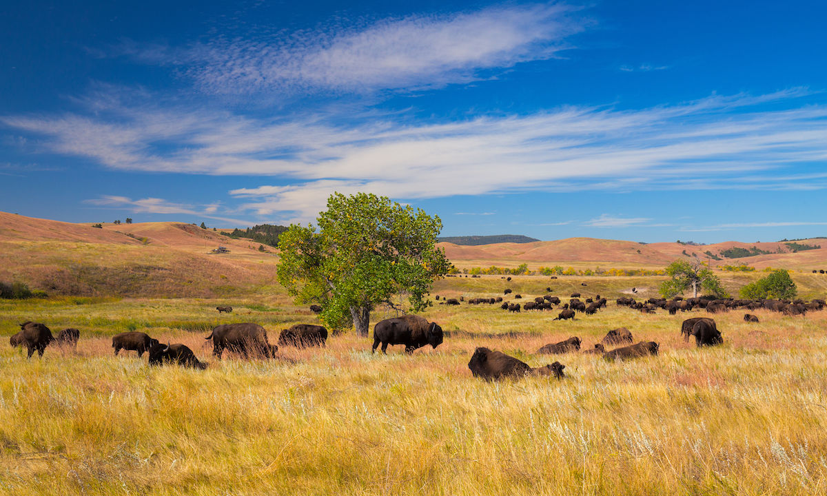 South Dakota State Parks